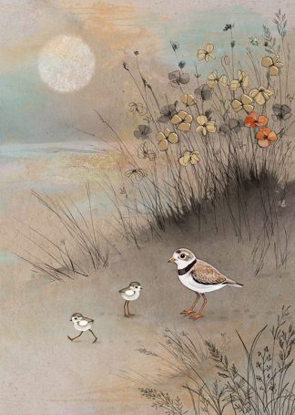 D196 Plover Family greeting card bug art